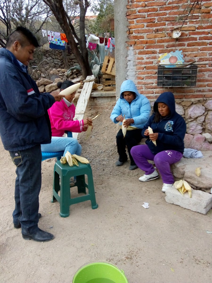 Berna_godb's tweet photo. Seguimos trabajando, sacado de hoja totomoxtle #panales #extensionismoGto @DesdeGto @Bettyvaz2 @14Marijuani @incarural @ExtensionismoMx https://t.co/XUbjtGngqo