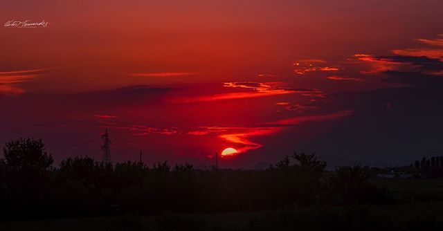 Visual_Griot's tweet photo. #portoviro #italy #redsunset #iItalian #sunset #chasingthesun #redsky #sunsets #nikon #passionpassport #mypassion #photography #travel #nature #traveller #travelphotography #sunrise_sunsets_aroundworld #ig_color #exploreuniworld #nikonnofilter #natgeโฆ https://t.co/z49dUG62oQ https://t.co/foECB3RZYi