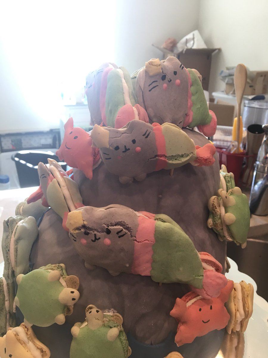 SkiBumSweets's tweet photo. Mermaid Pusheen Macarons as part of an underwater themed cake. #cake #mermaid #pusheen #macarons https://t.co/EpmyiaKdCH