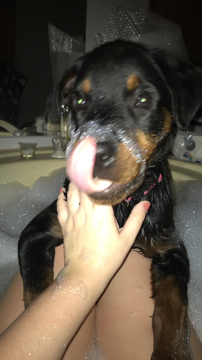 Sidra_Greenwald's tweet photo. So I’m taking a bath and at first I was like “awh she wants to take a bath with me lol” AND THEN THE BITCH JUMPED IN https://t.co/RHwcJcdrnj
