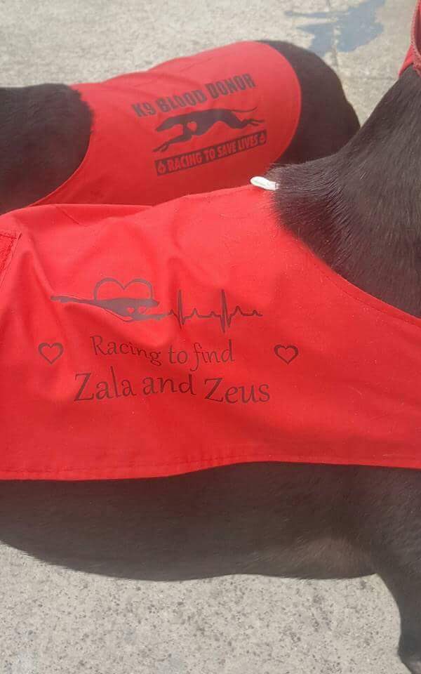 PLEASE RT!! Lucy and her amazing dogs deserve the votes! They travel the country to give blood to dogs in need! She also supports Zala &amp; Zeus!! Please vote here.. It'll take a second! - m.facebook.com/story.php?stor…