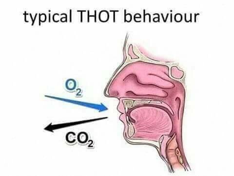 Toshinori Yagi (@toshinori__yagi) on Twitter photo 