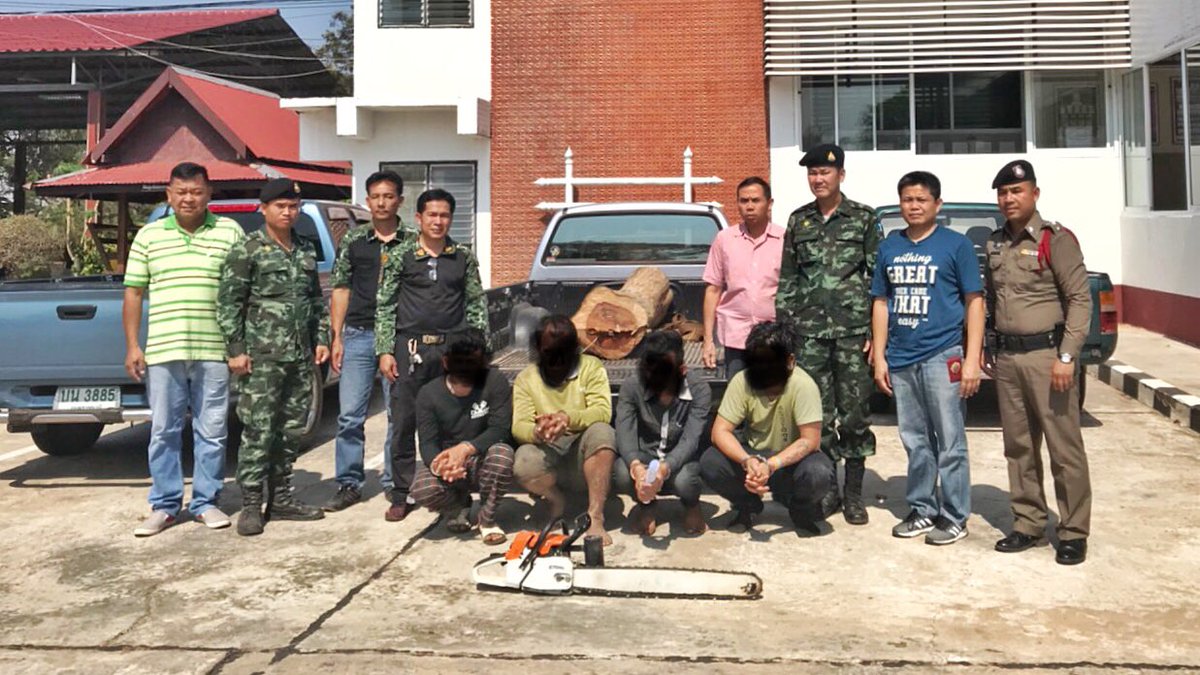LueamnatPolice's tweet photo. วันที 27 ม.ค. 61 สภ.ลืออำนาจ ร่วมกับ ฝ่ายปกครอง , ทหาร และ ผู้นำหมู่บ้าน ชาวบ้าน ร่วมกับจับกุมผู้ต้องหาลักลอบตัดไม้พะยุง เหตุเกิด บริเวณป่าชุมชนบ้านหัวดง หมู่ 3 ต.เปือย อ.ลืออำนาจ จ.อำนาจเจริญ https://t.co/rYfLfAy3AI @ancpolice https://t.co/LLjtAqsWV3