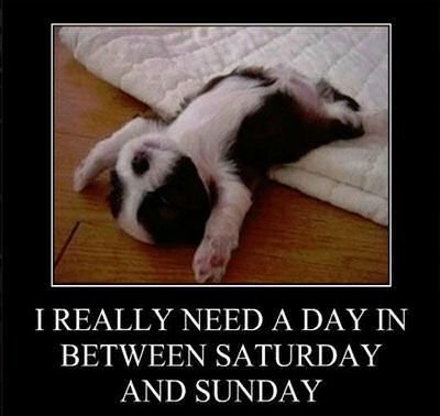 GinaValley's tweet photo. I really do!!! Actually, I could use two or three extra days in between those!!!

#weekendsflyby #longtodolist #timefliesby #choresdonot #giggles https://t.co/qXWPGmbGia