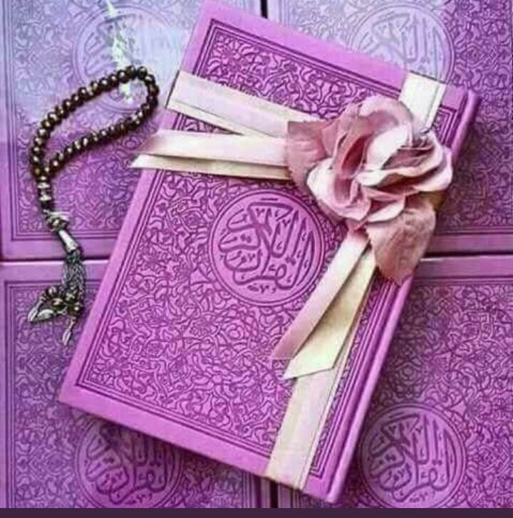 ZS___ZS's tweet photo. @Cizer9988 صباااح ااالخيراات 
ااخ مضر https://t.co/Gx46ODqSj5