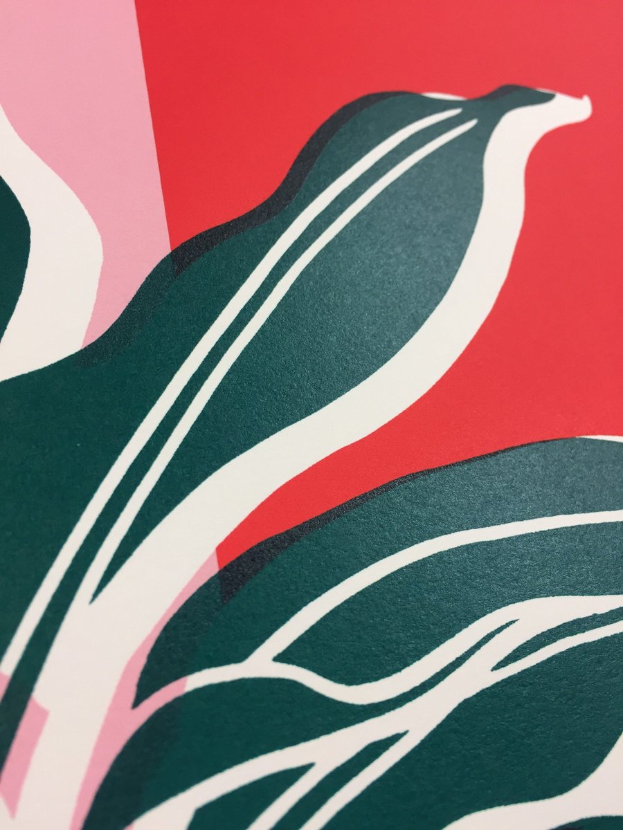peopleofprint's tweet photo. Editions - 'Terrazzo Plant' By Hello Marine https://t.co/CqNMHaXsvH #printspotters https://t.co/nA3wFSu6ON