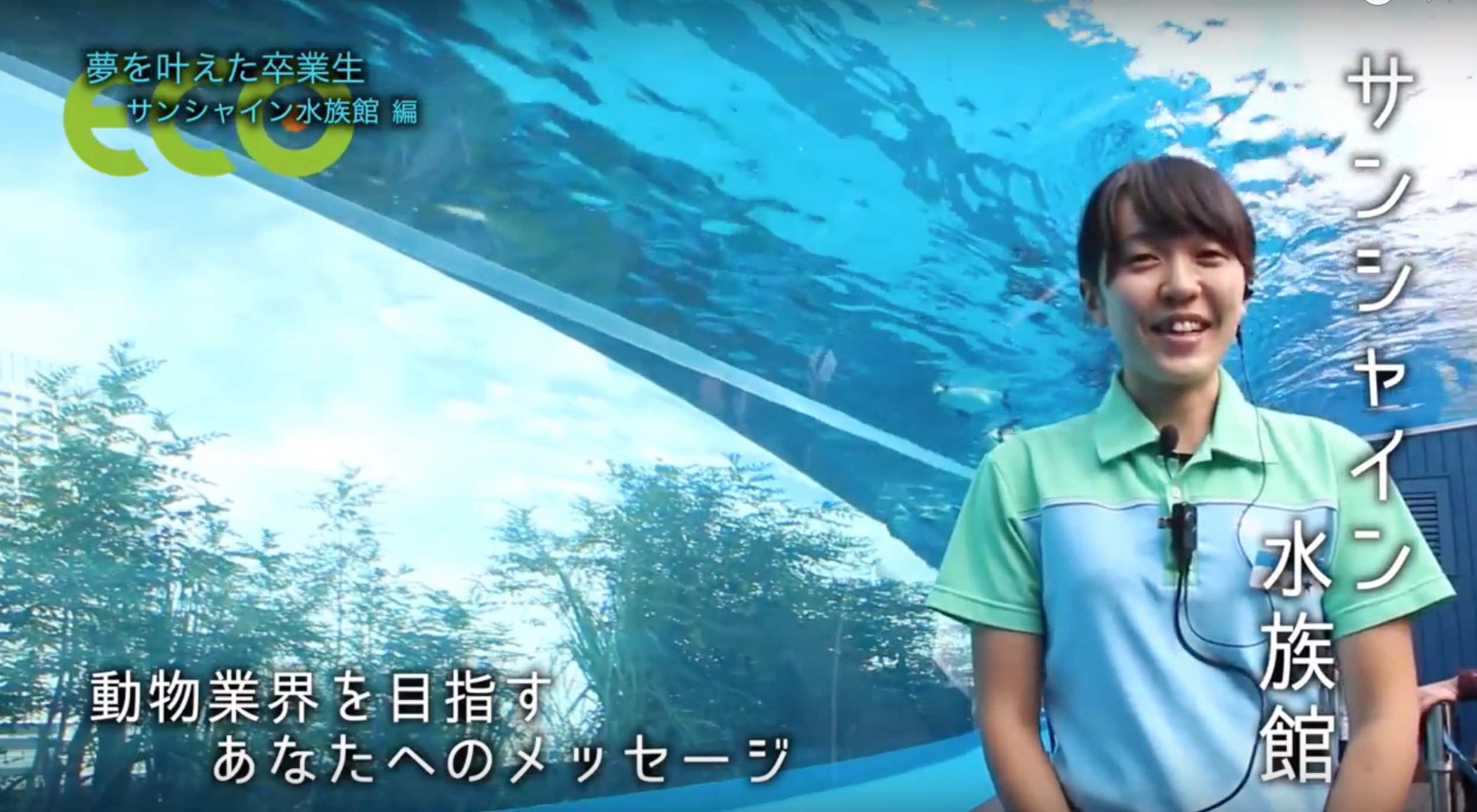 公式 Tca東京eco動物海洋専門学校 Pa Twitter 水族館飼育員になりたいあなたへ のメッセージ サンシャイン水族館 サンシャイン 水族館で活躍する卒業生のお仕事風景 T Co Kjopztlnzv Tcaeco 動物専門学校 海洋専門学校 水族館 サンシャイン 公式 Tca東京eco動物海洋専門学校 Pa Twitter 水族館飼育員になりたいあなたへ のメッセージ サンシャイン水族館 サンシャイン 水族館で活躍する卒業生のお仕事風景 T Co Kjopztlnzv Tcaeco 動物専門学校 海洋専門学校 水族館 サンシャイン