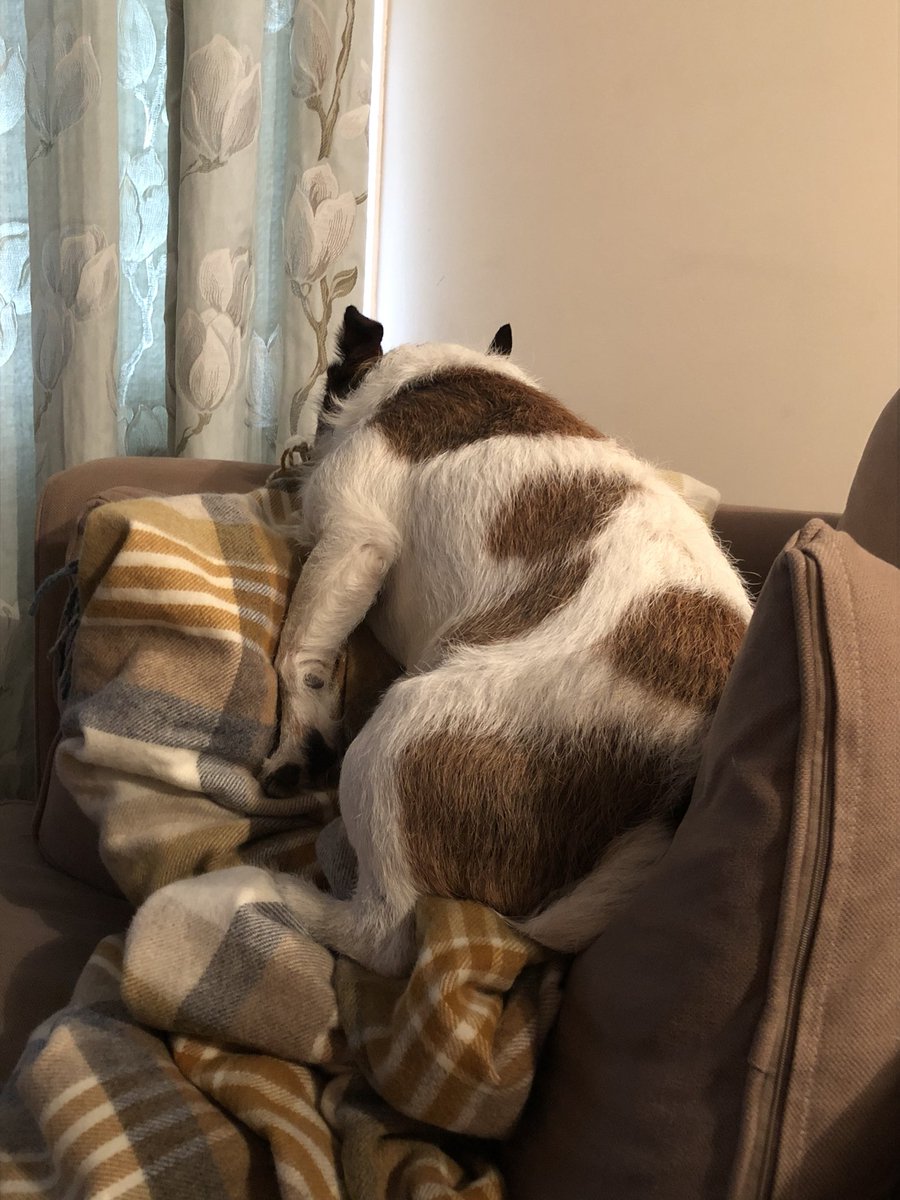 Someone likes the new @BrontebyMoon <a href="/PushTheBoat0ut/">Jane Gutteridge</a>