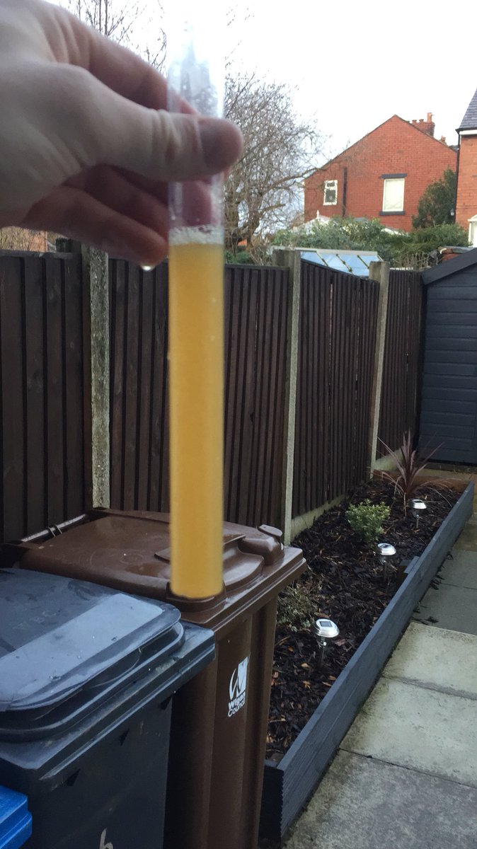 SLG_Brewery's tweet photo. Brewed yesterday. Aiming for something like @BeavertownBeer’s Gamma Ray APA. If it’s half as good I will be pleased! https://t.co/vldes0eXYs