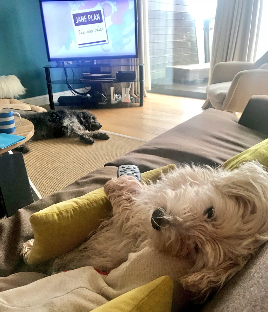 MaisyDuffle's tweet photo. Me and Duffle enjoying a #LazySunday at #watergatebay I have control of the remote so we are watching @SundayBrunchC4 can someone pass me a #dentastick #westielife #labradoodle #GoodwashCo #furfounders https://t.co/iNSfxCQdAD