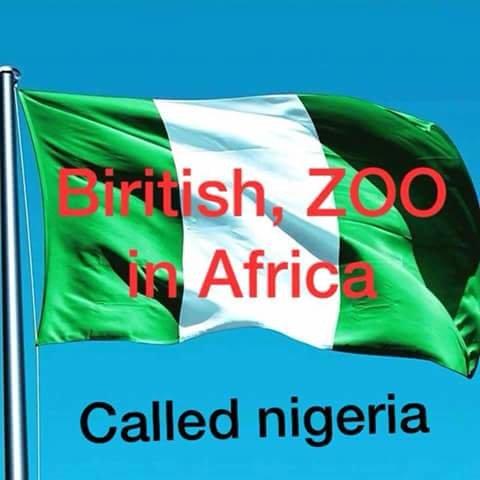 Alochukwu Chinedu tweet media