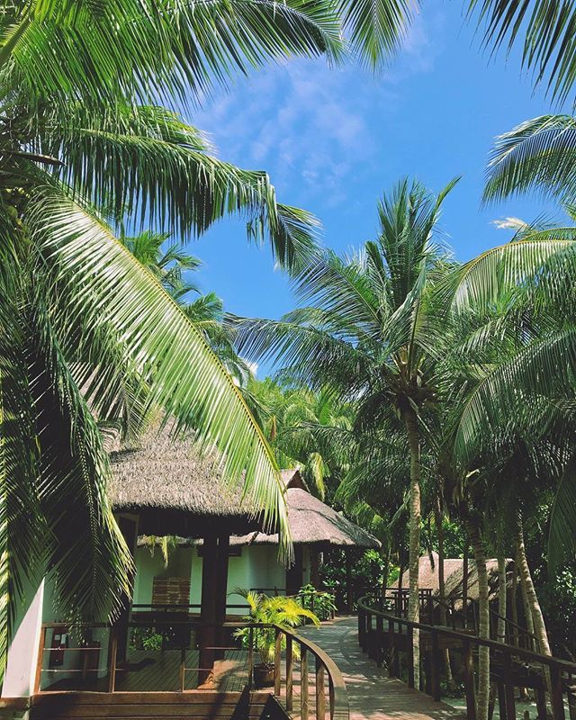DusitThaniMV's tweet photo. Devarana Spa, nestled along the coconut palms! #dusitjourneys #DusitThaniMV #Maldives #devarana #spa #troical https://t.co/BKGTDVxLg3