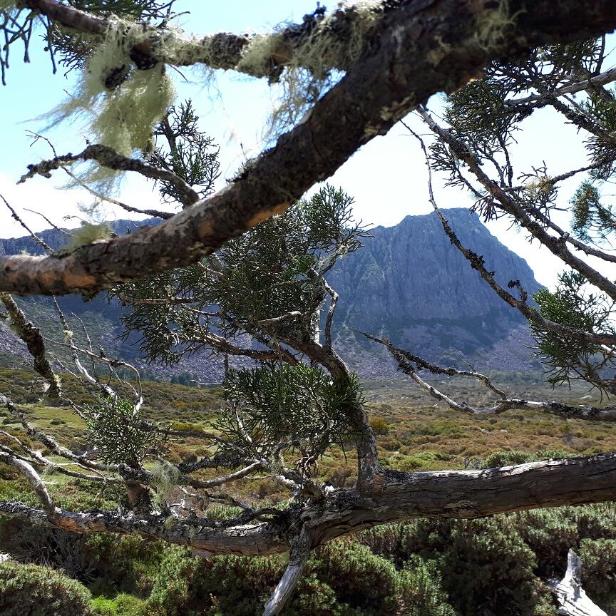 twointasmania's tweet photo. Once you enter the inner section of #TheWalls, the scenery is just phenomenal. Makes you feel very insignificant. #WallsOfJerusalem #tasmaniaparks #discovertasmania https://t.co/6T8SkZqePe