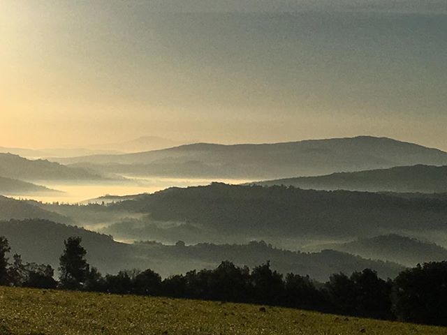 ShirleyShivhon's tweet photo. Today we woke up in paradise. #toscana #yogaretreat #yoga #lifestyle  #mindfulness #tuscanyyogaretreat #goodlife #italia #inspiration #lessisamore #meditation #travel #italy #tuscany #yogaeveryday #globalyodel #nat. ure #youwjs
Frflorence #wellness #fiesole #new_photoitalia … https://t.co/h4ISfeYG4I