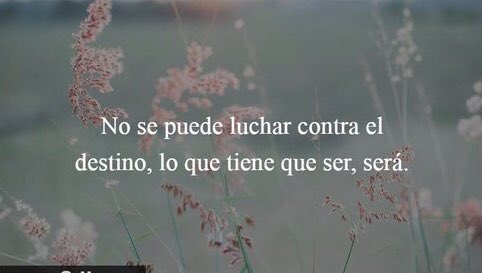 vivsmx's tweet photo. https://t.co/pc52PImfvu
