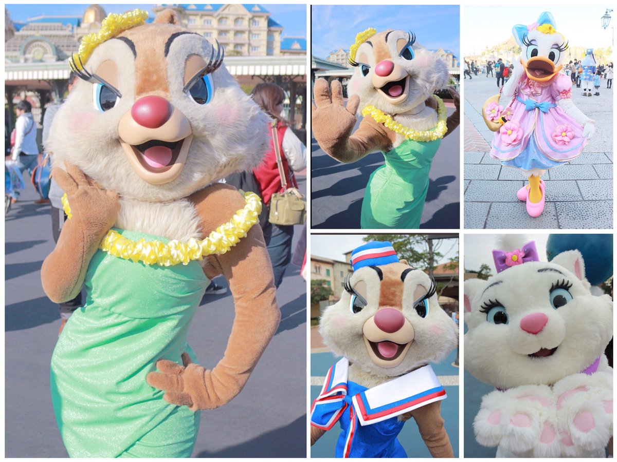 chide_0402's tweet photo. リス♡ミニオ♡
お話してくれる方と繋がりたいです🐶💓
たくさんお迎えいきます( •⌄• )ノ
 #Twitter上にいるDヲタ全員と繋がるのが密かな夢だったりするのでとりあえずこれを見たDヲタはRTもしくはフォローしていただけると全力でフォローしに行きます 
#Dヲタさんと繋がりたい https://t.co/FAt2TAh9TI
