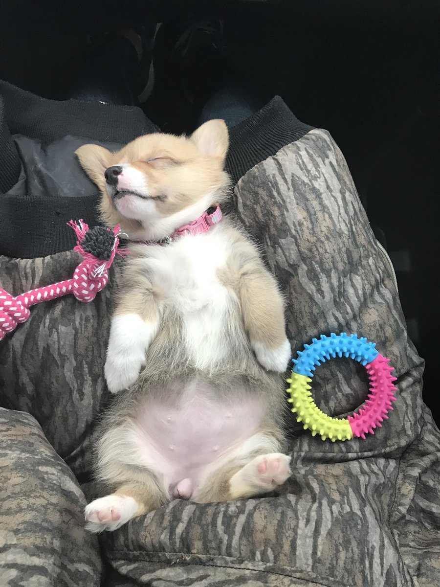 Conley Michele Wortman tweet media