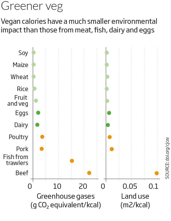 Living on the veg: Should we all go vegan? Learn more: newscientist.com/vegan