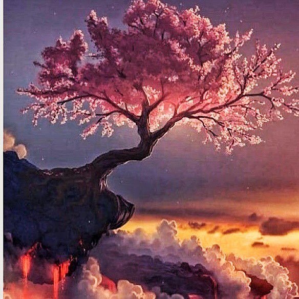 EmotionWoody's tweet photo. Reposting @dracaenawines:
Where there is a will there is a way! Reach for the stars
Climb every mountain higher 
Reach for the stars 
Follow https://t.co/1T3HeBOw1D