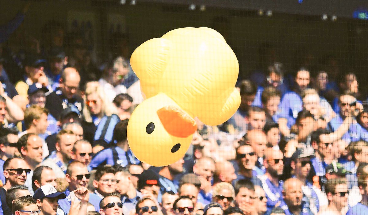 zoeve10_'s tweet photo. Vergeet ulder eendjes nie eh #boere #antifcb #cobw #proudkwekker https://t.co/4OMK5QaUKm
