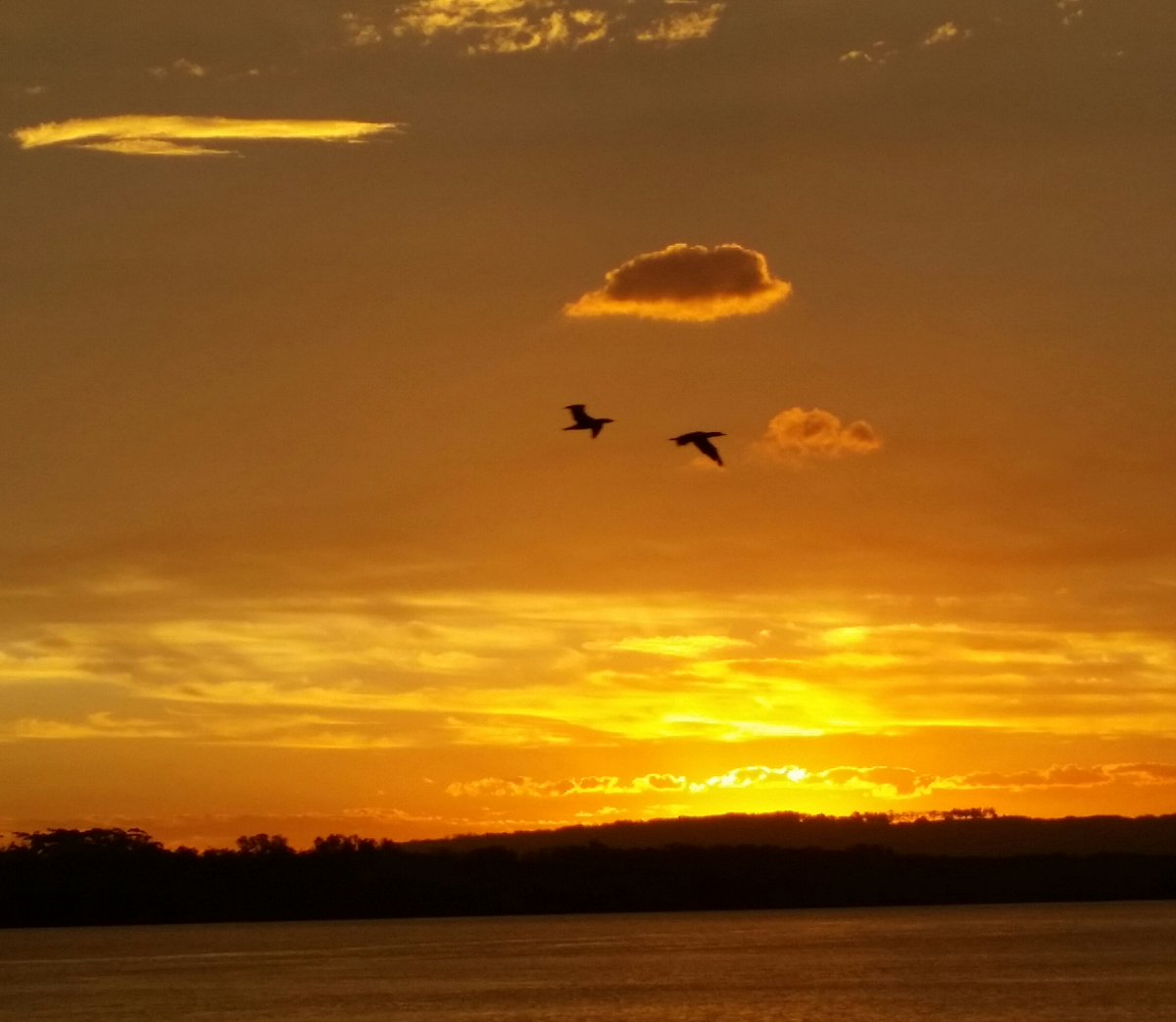 CattyKoala's tweet photo. #JanuaryFalls
Their love felt fresh
Wings of a new world
Sherbet clouds
with silver linings
A taste of tangerine
touched by twilight
She is dusk to his dawn
Where kisses fly
The lip-sync to love's song
#photography bushboy photos https://t.co/ATAB1BP46d