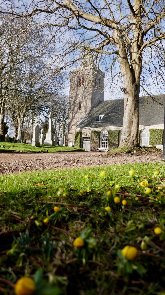 Spring in #Crail already?