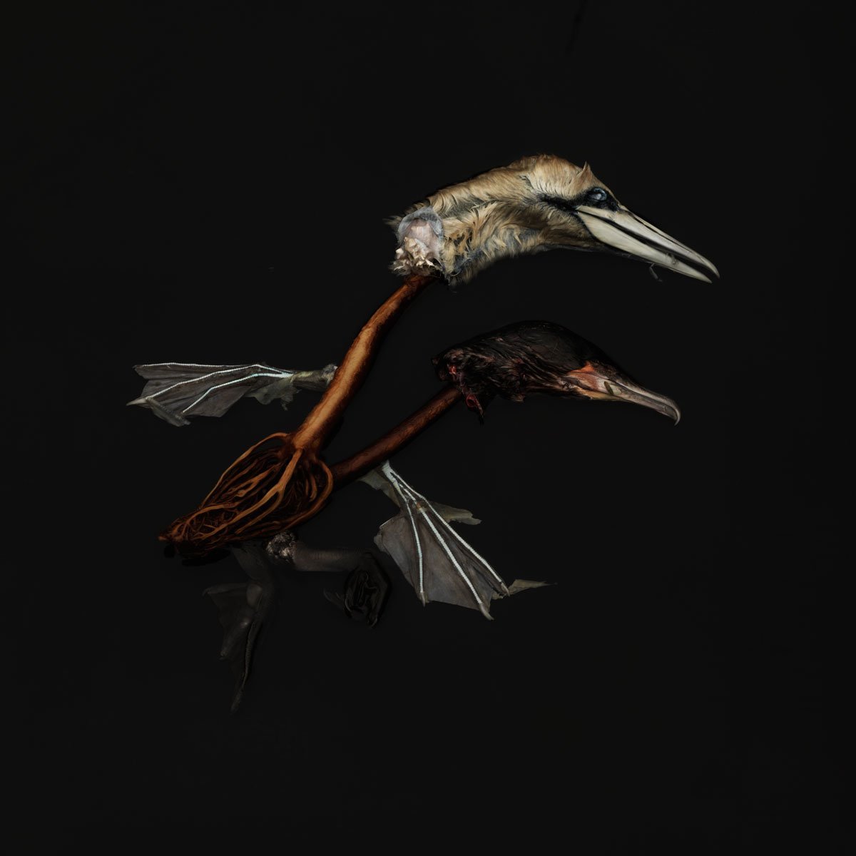 Post Vitam - woodoo edition 2018