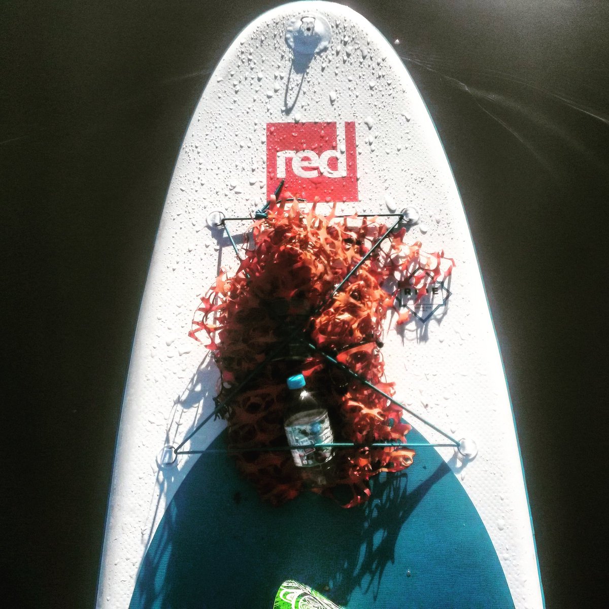 isuplife's tweet photo. Rubbish collection on the go! 4m of construction fencing removed the River Fowey π. Where have you taken time not to paddle by?
#plasticpatrol
#2minutebeachclean
#PlasticFreeCoastlines
#cornwallsup
#ifnotmethenwho
#Cornwall
#riverfowey https://t.co/8DnjQmwKEb
