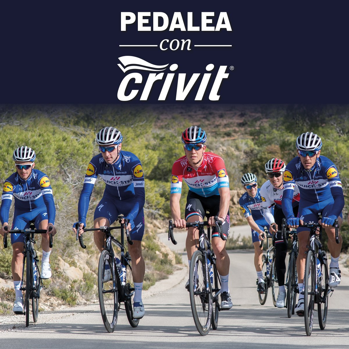 كارو سائق قطاع الطرق crivit ciclismo - spamwell.net
