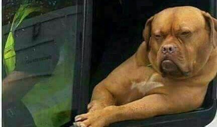 bmtcool's tweet image. #Cilic must give us a game here #AusOpen #AO2018 #SSTennis