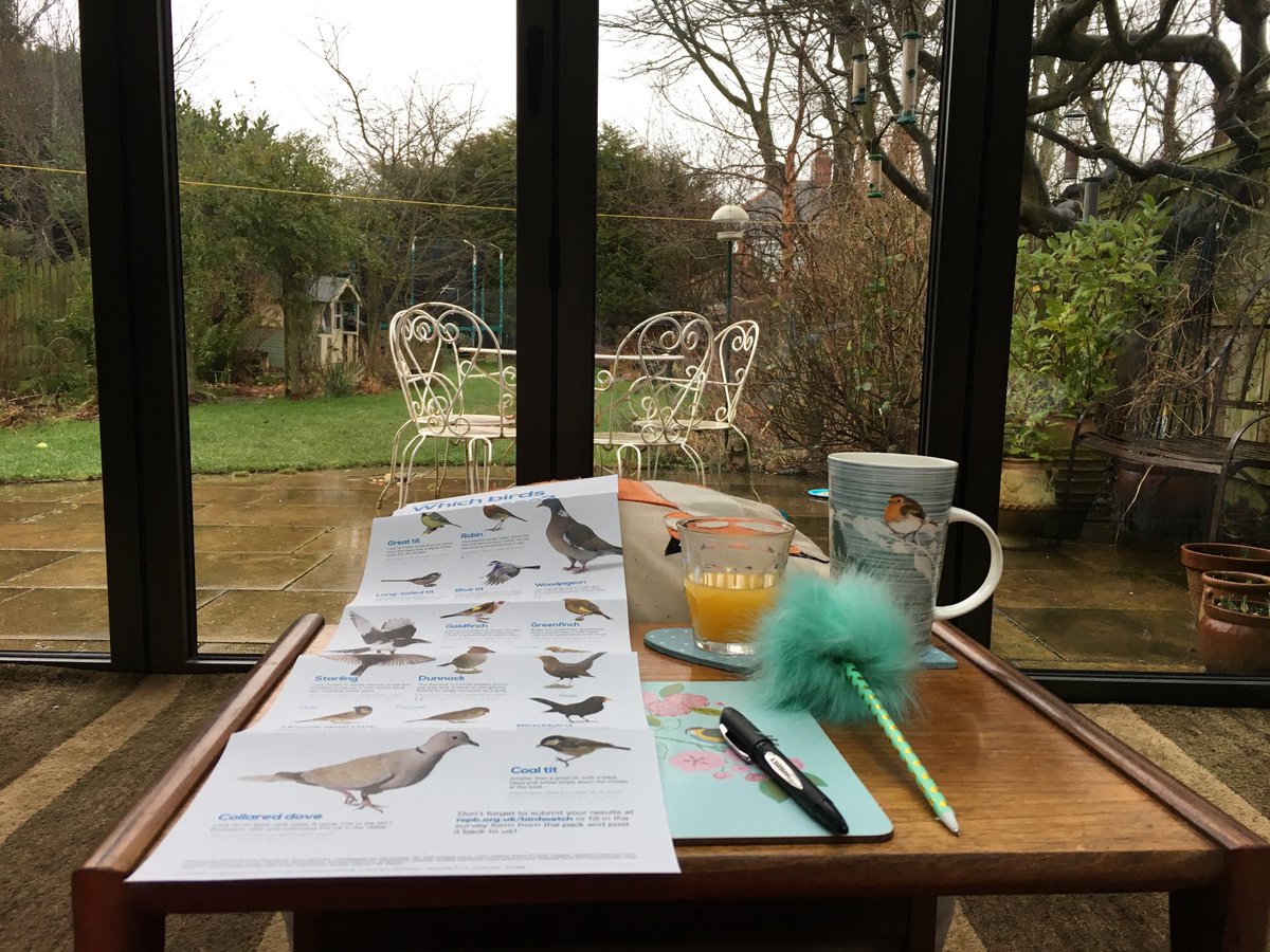 Katiebluesea's tweet photo. Ellie and I are all set for the #BigGardenBirdwatch 😁 https://t.co/gUHD2OyRsn