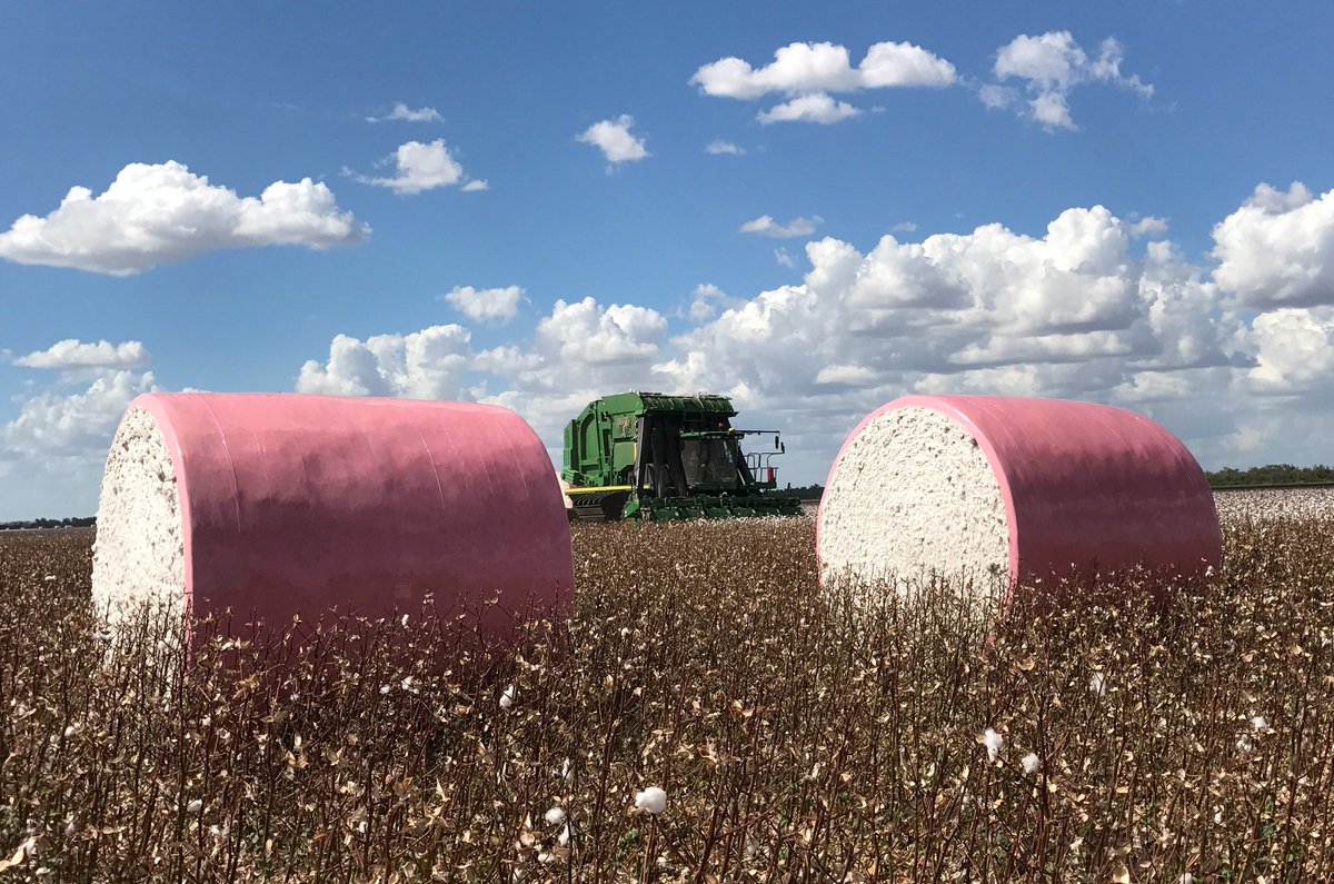 richardweston_1's tweet photo. Pink cotton wrap raising money for @McGrathFdn, thanks @tapexagri for your support and 🇦🇺 CQ Cotton growers. Can we make checker boards in your yards  @WeAreLDC @Olam ? @VanderfieldAU @JohnDeere #cotton18 https://t.co/m4YDO6plwV