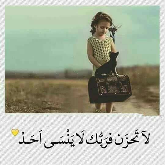 Omran (@omranha07170247) on Twitter photo 