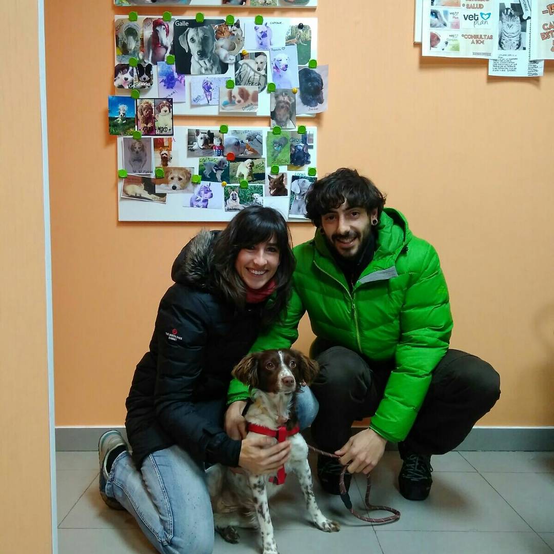 PerrosMadGuada's tweet photo. ¡¡UNA GRAN NOTICIA DE FIN DE SEMANA!! 
REGALIZ, NESKA Y ALHAMBRA ADOPTADAS!!! 😻😻😻😻😻 

Desde APAMaG damos las gracias a las familias y a todos los que nos ayudais de cualquiera de la formas!
GRACIAS!! 😽😽😽😽 https://t.co/ScD2v1WTJq