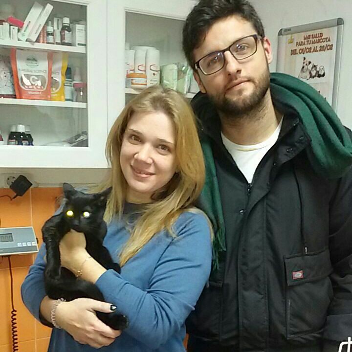 PerrosMadGuada's tweet photo. ¡¡UNA GRAN NOTICIA DE FIN DE SEMANA!! 
REGALIZ, NESKA Y ALHAMBRA ADOPTADAS!!! 😻😻😻😻😻 

Desde APAMaG damos las gracias a las familias y a todos los que nos ayudais de cualquiera de la formas!
GRACIAS!! 😽😽😽😽 https://t.co/ScD2v1WTJq