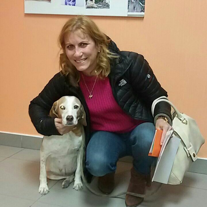 PerrosMadGuada's tweet photo. ¡¡UNA GRAN NOTICIA DE FIN DE SEMANA!! 
REGALIZ, NESKA Y ALHAMBRA ADOPTADAS!!! 😻😻😻😻😻 

Desde APAMaG damos las gracias a las familias y a todos los que nos ayudais de cualquiera de la formas!
GRACIAS!! 😽😽😽😽 https://t.co/ScD2v1WTJq