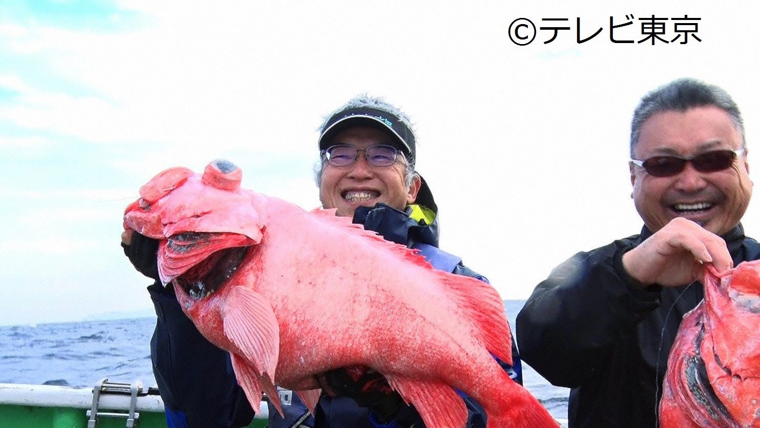 テレビ愛知 超レアな魚や高級魚 ウマい カワイイ魚を獲って獲って獲りまくる 今夜7時54分 東京湾大調査 お魚ぜんぶ獲ってみた2 mc メイプル超合金 カズレーザー 安藤なつ スタジオゲスト ボビーオロゴン 大家志津香 テレビ愛知 超レアな魚や高級魚 ウマい カワイイ魚を獲って獲って獲りまくる 今夜7時54分 東京湾大調査 お魚ぜんぶ獲ってみた2 mc メイプル超合金 カズレーザー 安藤なつ スタジオゲスト ボビーオロゴン 大家志津香