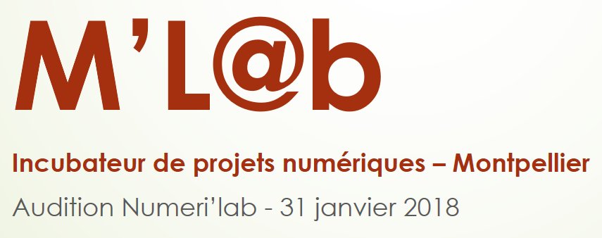 #M'L@b le futur incubateur de projets numériques de <a href="/acmontpellier/">Académie Montpellier</a> @DANEMontpellier Audition auprès de@Numerilab de la DNE le 31 janvier prochain croisons les doigts!! #edteh