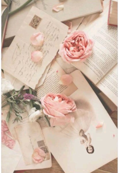 OlaWesam1's tweet photo. صباحكم ورد مثلها 😩😻👀🌹 https://t.co/8xAMCuEvVE