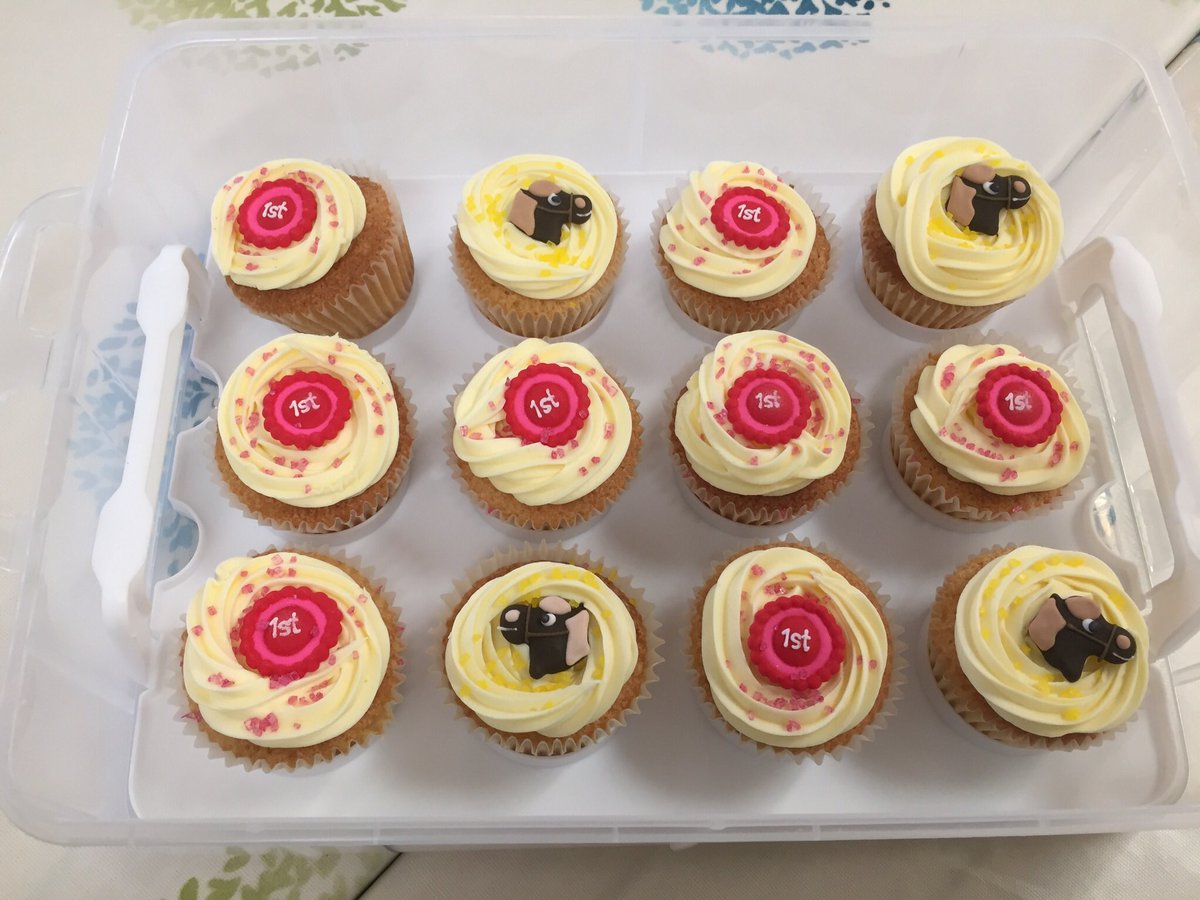 RDA_NW's tweet photo. Congratulations to Pegasus RDA in the North West Region @RDA_NW on their First Anniversary today. @RDAnational Sure to be lots of cake https://t.co/zN7yJj9RXF