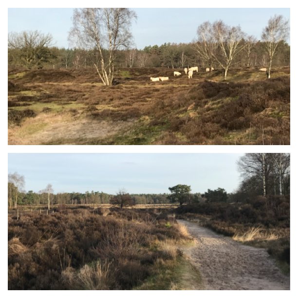 EwoutJansen's tweet photo. Blijft toch mooi en zo dichtbij! #soest #stulp #baarn https://t.co/kCJg5T51nJ