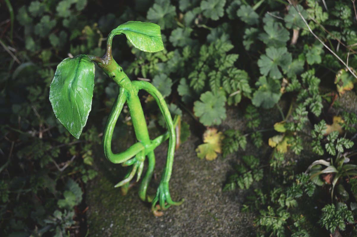 Gluoterique's tweet image. #hp  #botruc  #picket