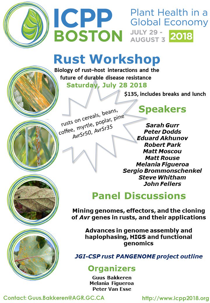 Figueroa_MM's tweet photo. Mark your calendars. Join us at ICPP meeting in Boston @EricNazareno @PeterVanesse @globalrust @bluessherpa @MatthewMoscou #rustfungi #community work https://t.co/PCVHkvUqu1