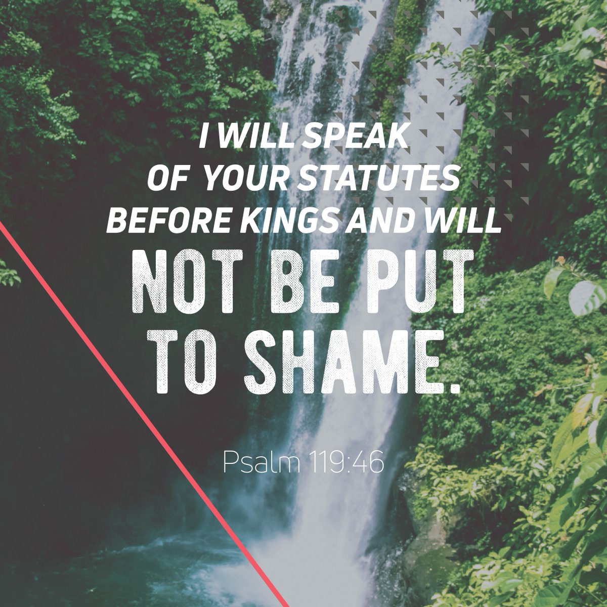TheFellowshipSM's tweet photo. The bar they set is high, but it can be reached. How can you be unashamed of the Gospel at home, at school, or on the sports field today? #KnowGodSeries #FSM https://t.co/TnSDlpF4lx