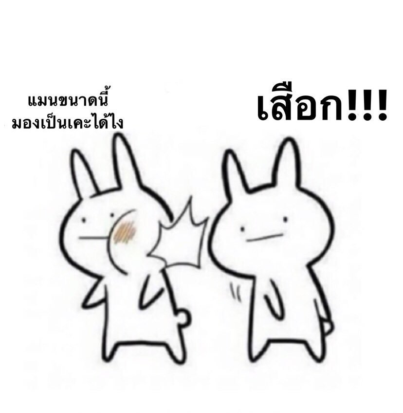 YuJeanN's tweet photo. เหมี๊ยว~ https://t.co/BkSZGNsSyI