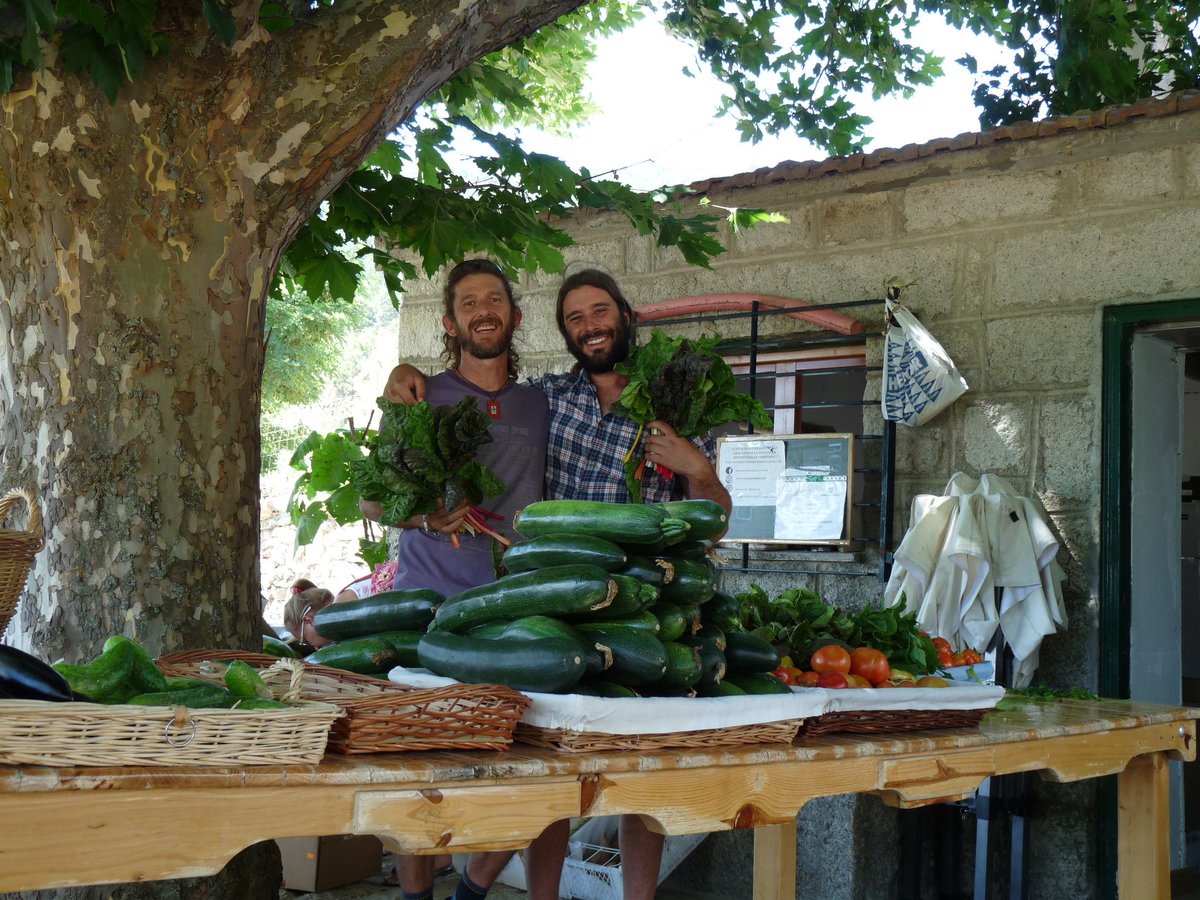 enrikebustar's tweet photo. No todos podemos ser agricultores, pero todos somos consumidores y desde ahí también se puede influir en las formas de producción #LaCasaHabitada #AgroecologiaRadio3 https://t.co/YzP8c1K7Iu
