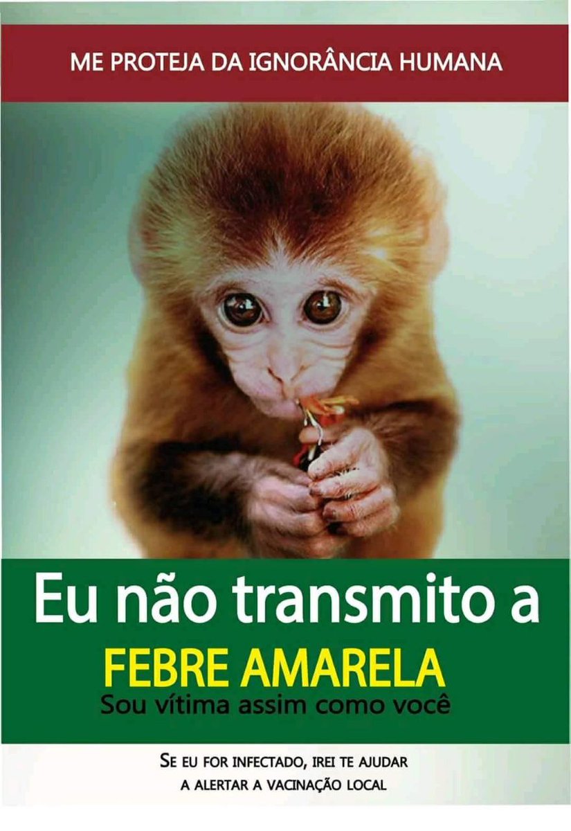 leandromoc's tweet photo. Bom
Dia! 

.
. https://t.co/kjRmOFP0pi