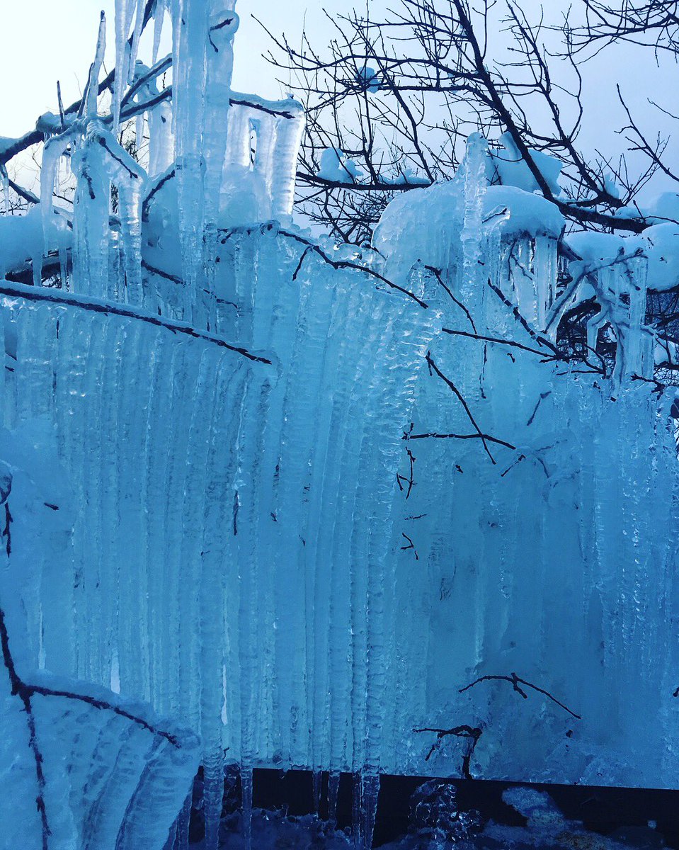 SatoFrelida's tweet photo. When the Winter strike #toomuchcold #winterseason #snoweverywhere #fukushimajapan https://t.co/dCmunQWlnt