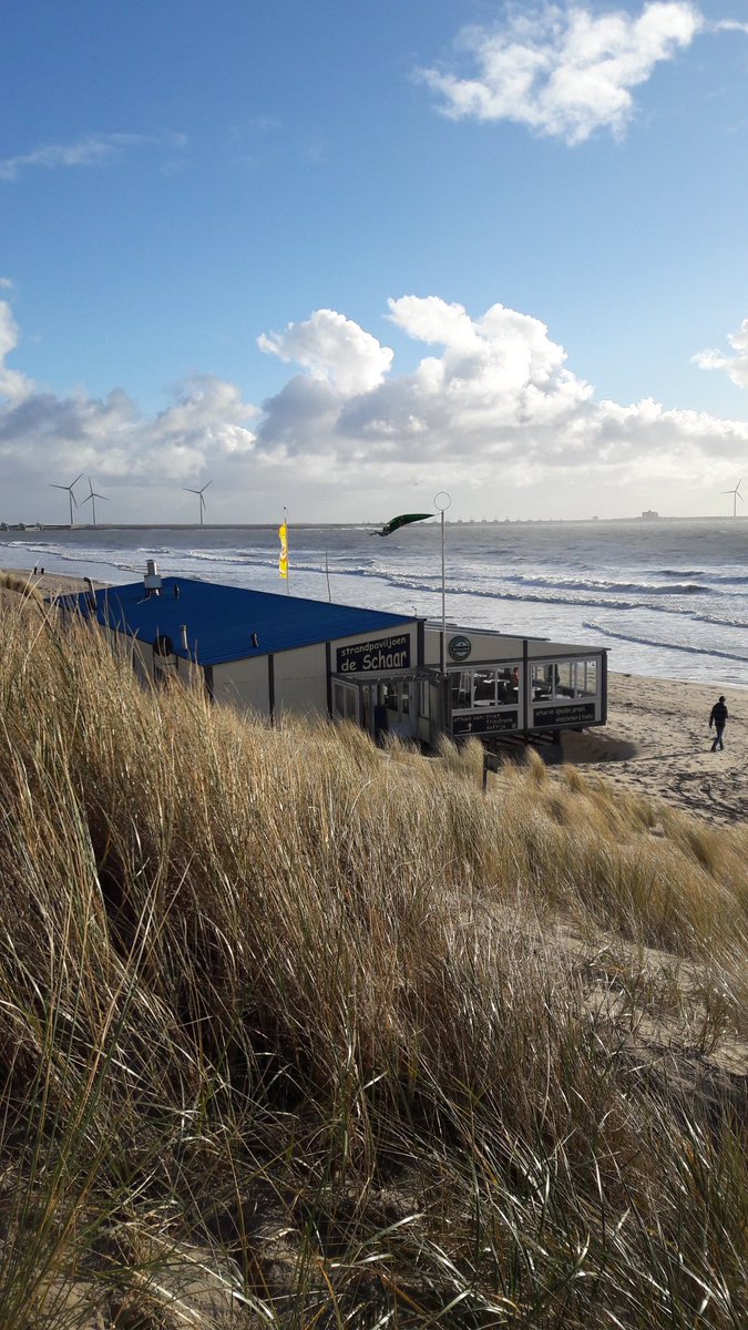 mopakema's tweet image. 