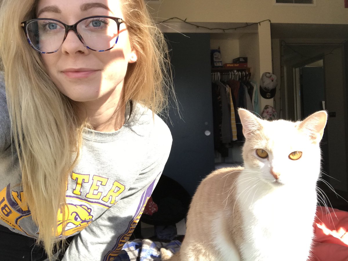smwarner3's tweet photo. Here comes the sun; doo doo doo doo #sunshinegays 🌻🐱☀️🤗 https://t.co/iRkQ35i2aB